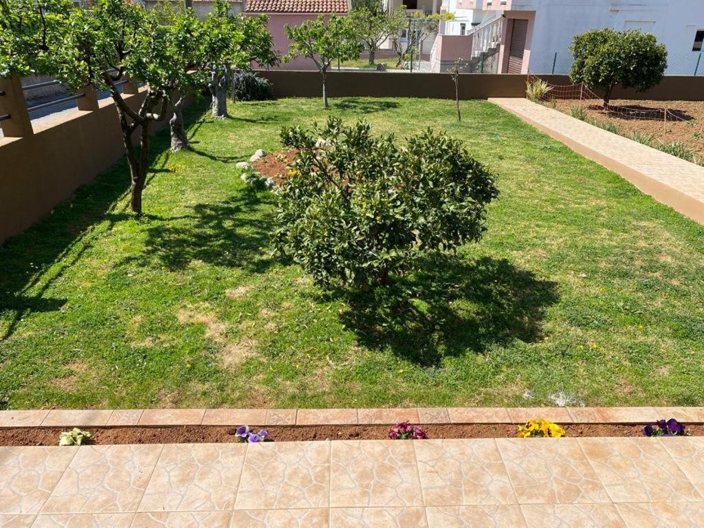 Apartmani Dubravka Bibinje Luaran gambar